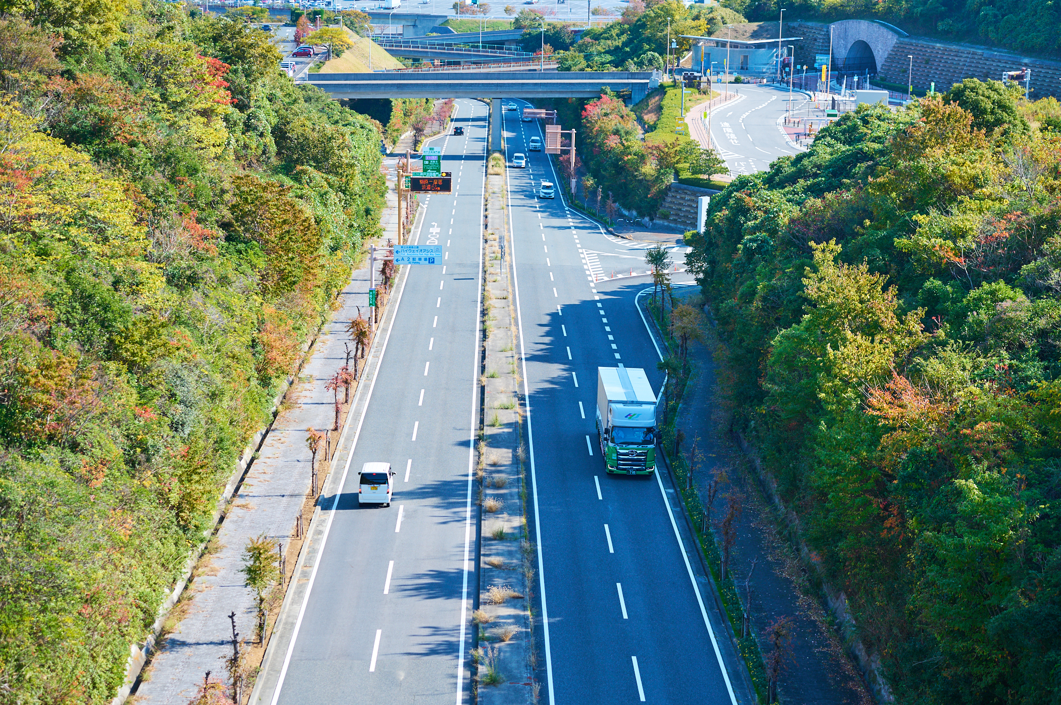 新・福利厚生　導入開始　